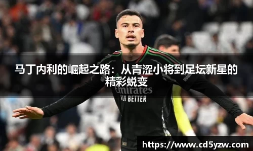 马丁内利的崛起之路：从青涩小将到足坛新星的精彩蜕变