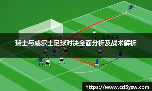 瑞士与威尔士足球对决全面分析及战术解析