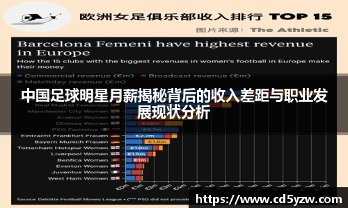 中国足球明星月薪揭秘背后的收入差距与职业发展现状分析